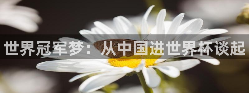 世界杯在线直播入口：世界冠军梦：从中国进世界杯谈起