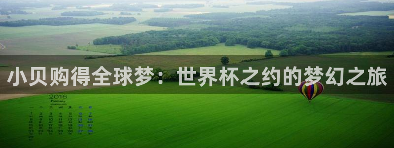中国 世界杯：小贝购得全球梦：世界杯之约的梦幻之旅