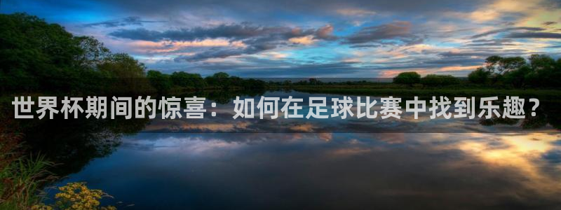 预选赛世界杯：世界杯期间的惊喜：如何在足球比赛中找到乐趣？