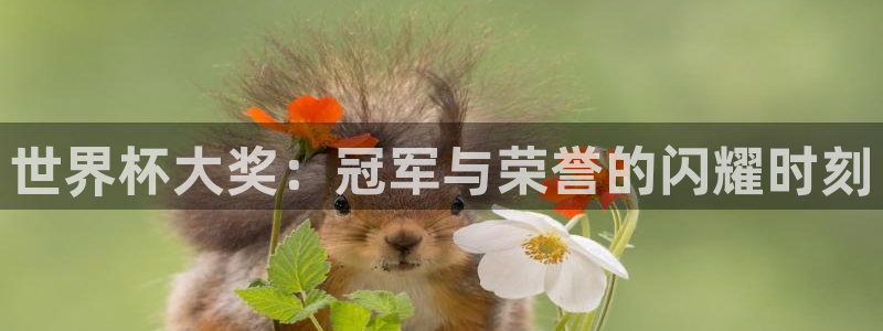 2026足球世界杯赛程时间表：世界杯大奖：冠军与荣誉的闪耀时刻