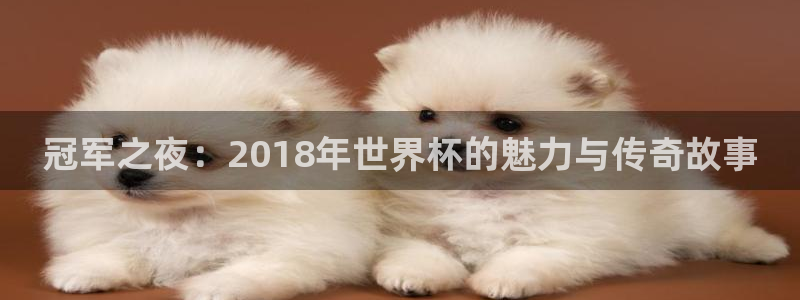 世界杯今日赛程直播：冠军之夜：2018年世界杯的魅力与传奇故事