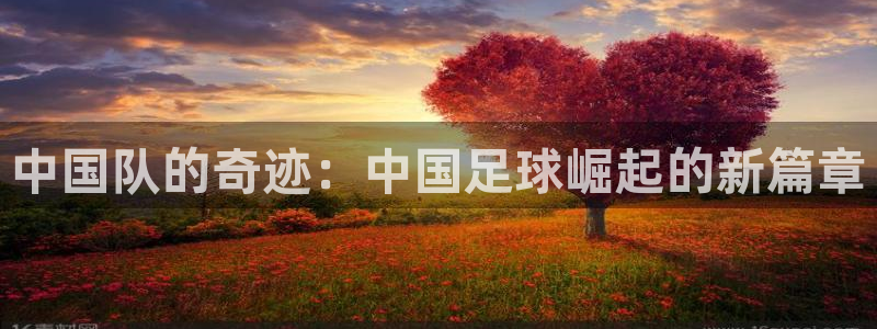 世界杯预选赛2026：中国队的奇迹：中国足球崛起的新篇章