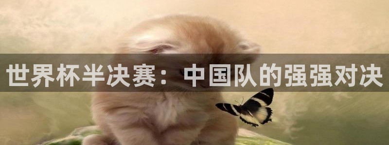 今年的世界杯：世界杯半决赛：中国队的强强对决