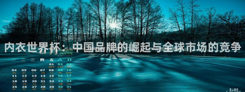 世界杯直播高清：内衣世界杯：中国品牌的崛起与全球市场的竞争