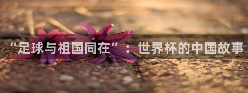 世界杯欧洲区世预赛赛程：“足球与祖国同在”：世界杯的中国故事