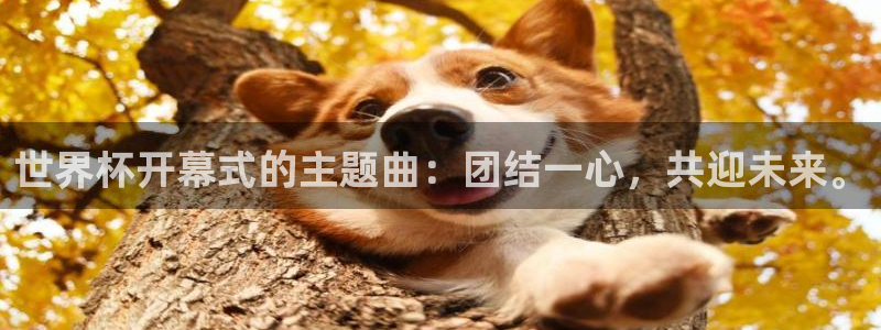 世界杯直播网站：世界杯开幕式的主题曲：团结一心，共迎未来。